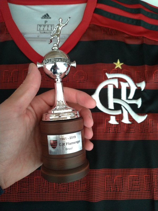 Taca Libertadores 19 Cm Flamengo Trofeus Dos Sonhos Bagy